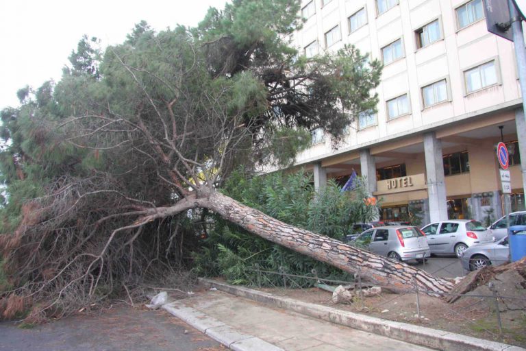 Forti raffiche di vento si abbattono sulla città italiana: ci sono feriti, danni e crolli – VIDEO