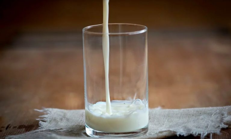 Il latte in età adulta fa davvero bene come si dice ?