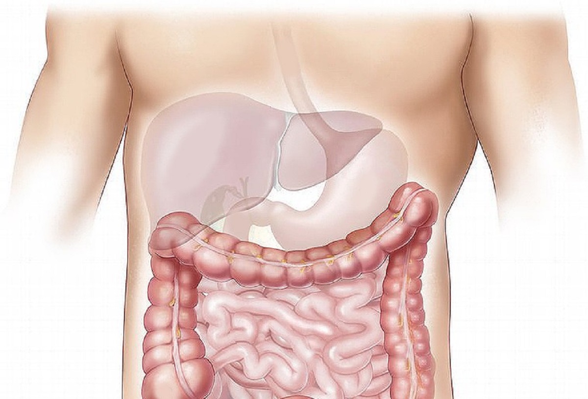 Dieta Disintossicante Per Il Fegato Ecco I Cibi Da Mangiare