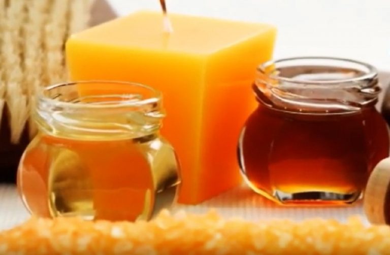 Miele e cipolla, un mix per realizzare un infuso miracoloso: ecco cosa può curare