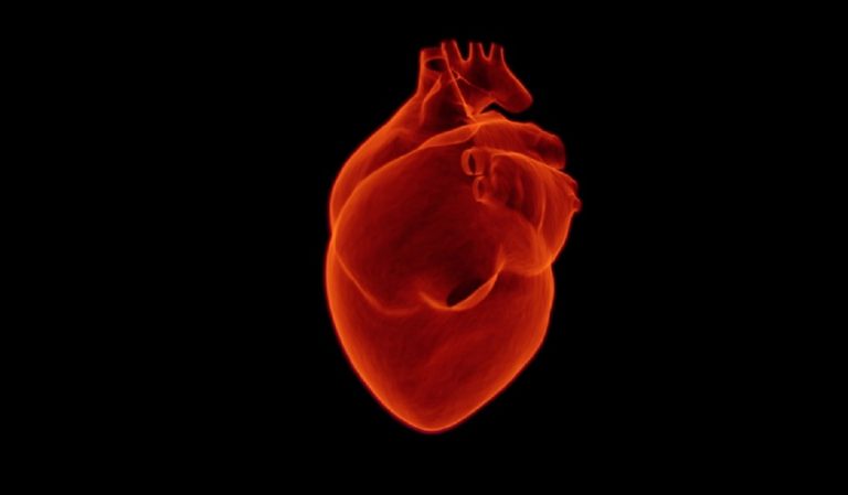 Aneurisma dell’aorta addominale, può portare alla morte: ecco i controlli da fare per prevenirla