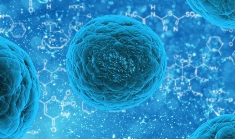 Nuovo caso di Coronavirus appena registrato in Thailandia: i sintomi e come riconoscerla Nuovo caso di Coronavirus appena registrato in Thailandia: i sintomi e come riconoscerla
