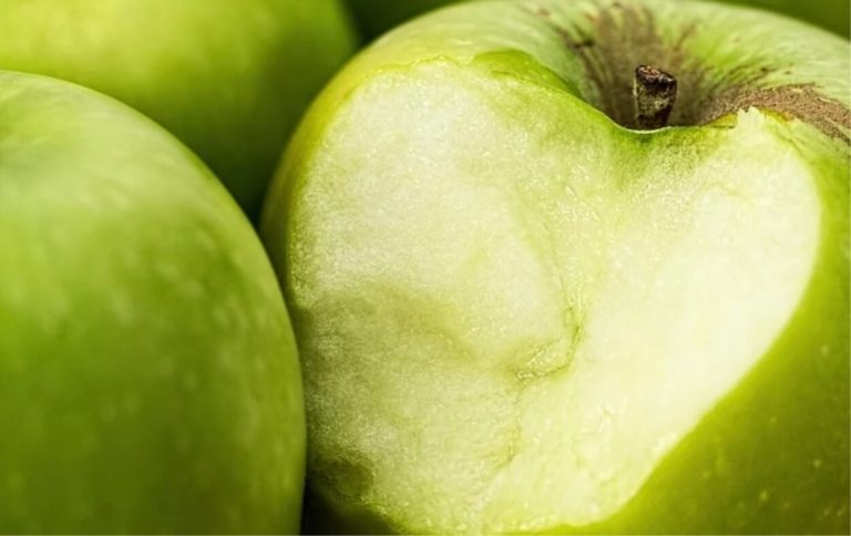 La mela riduce il colesterolo, ecco quale mangiare e quante al giorno  La mela riduce il colesterolo, ecco quale mangiare e quante al giorno