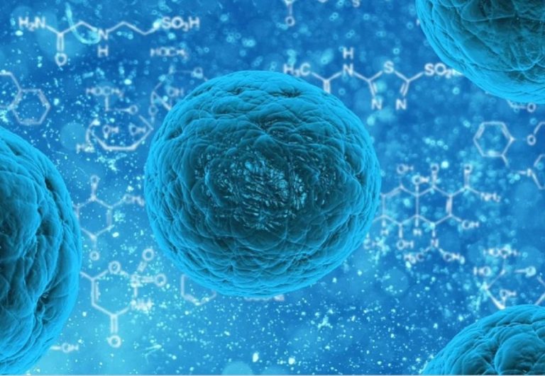 Pertosse, comunità scientifica in allarme: il batterio si sta evolvendo in un superbug che elude il vaccino Pertosse, comunità scientifica in allarme: il batterio si sta evolvendo in un superbug che elude il vaccino