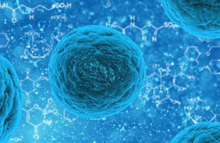 Norovirus, casi raddoppiati in poco tempo, adesso gli scienziati sono davvero preoccupati: ecco il motivo Norovirus, casi raddoppiati in poco tempo, adesso gli scienziati sono davvero preoccupati: ecco il motivo