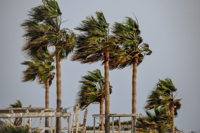 METEO – FORTI VENTI nelle PROSSIME ORE, ecco le Regioni interessate