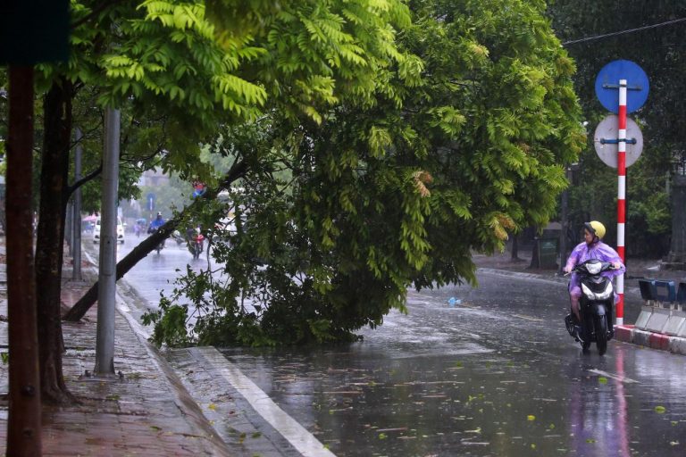 METEO – Venti di BURRASCA sferzano l’ITALIA, diversi i danni da nord a sud: alberi caduti e ringhiere divelte, tutti i dettagli