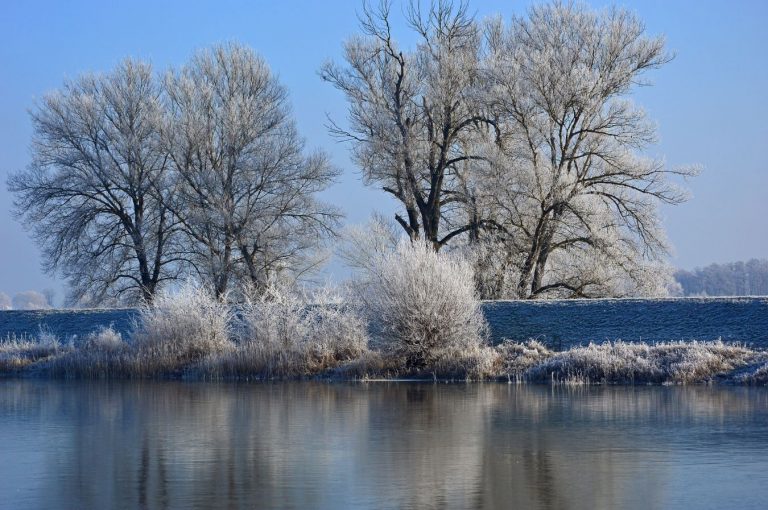 Meteo – Aria fredda in estensione a parte d’Italia, attese gelate estese al nord Meteo – Aria fredda in estensione a parte d’Italia, attese gelate estese al nord
