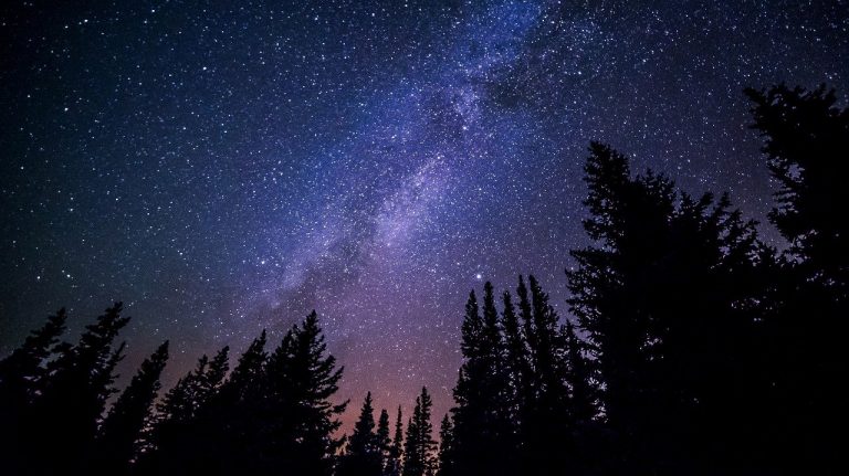 Perseidi, ecco quando si concluderà la pioggia di stelle cadenti: come e quando osservarla Perseidi, ecco quando si concluderà la pioggia di stelle cadenti: come e quando osservarla