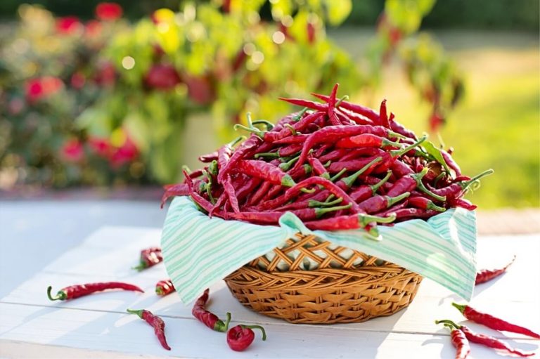 Peperoncino, ecco perchè mangiarlo dimezza il rischio di morte per ictus e infarto cardiaco