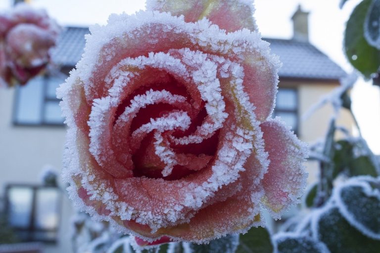 METEO – Esplode la PRIMAVERA ma attenzione perché il gelo tardivo rimane dietro l’angolo