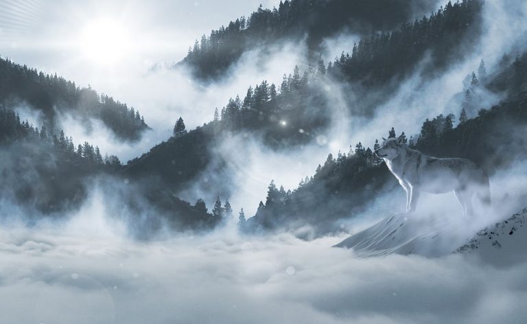METEO – Inizio Primavera con FREDDO, NEVE e MALTEMPO: i dettagli dello scenario PAZZO METEO – Inizio Primavera con FREDDO, NEVE e MALTEMPO: i dettagli dello scenario PAZZO