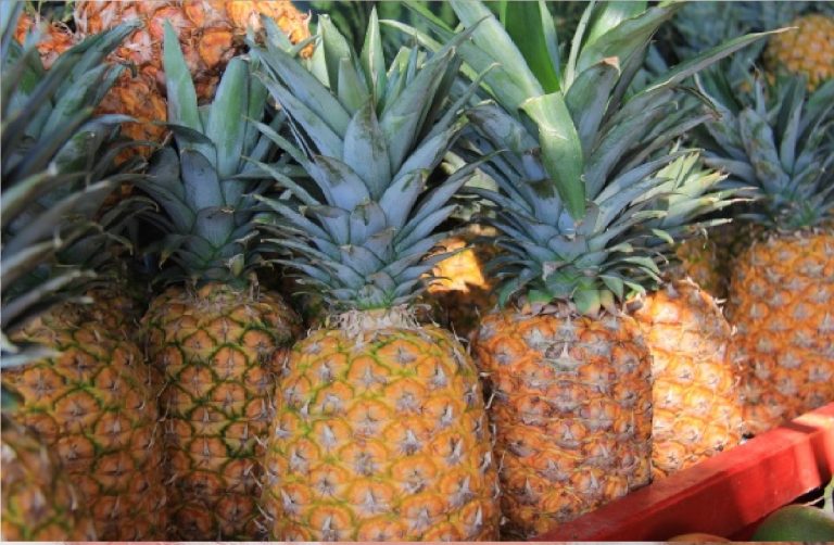 L’ananas fa perdere peso? Ecco la verità. Tutte le proprietà e le controindicazioni L’ananas fa perdere peso? Ecco la verità. Tutte le proprietà e le controindicazioni