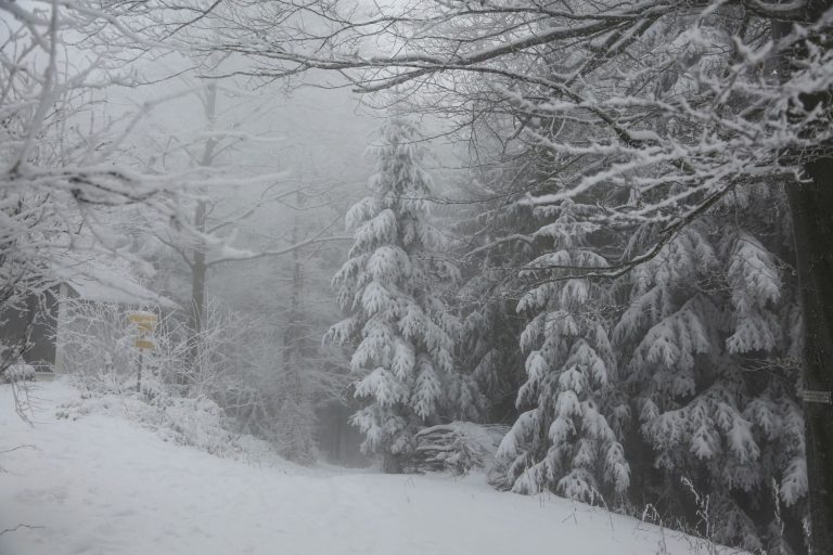 METEO ITALIA – NEVE in arrivo su diverse regioni, anche a bassa quota: i dettagli