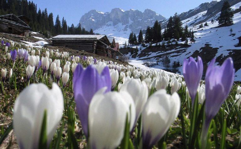 METEO: Altalena termica in ITALIA con il clima invernale nel WEEKEND, sole e PRIMAVERA per la prossima settimana