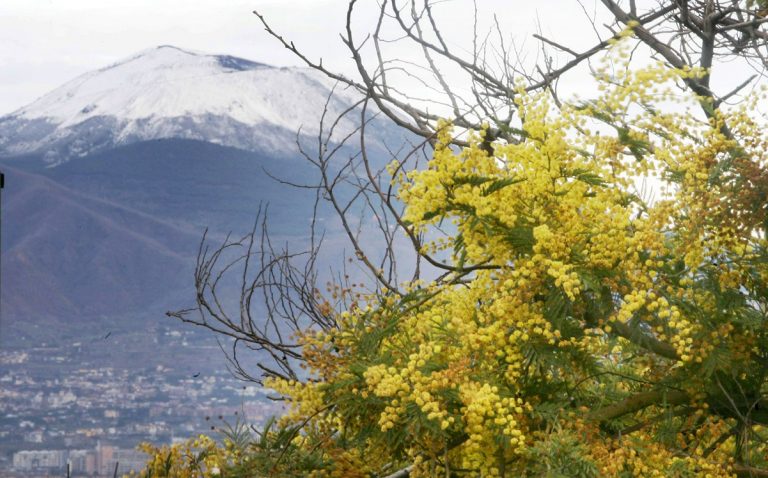 METEO NAPOLI – Condizioni di tempo STABILE e ASCIUTTO con TEMPERATURE in aumento, ecco le previsioni