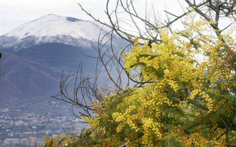METEO NAPOLI – Condizioni di tempo STABILE e ASCIUTTO con TEMPERATURE in aumento, ecco le previsioni METEO NAPOLI – Condizioni di tempo STABILE e ASCIUTTO con TEMPERATURE in aumento, ecco le previsioni
