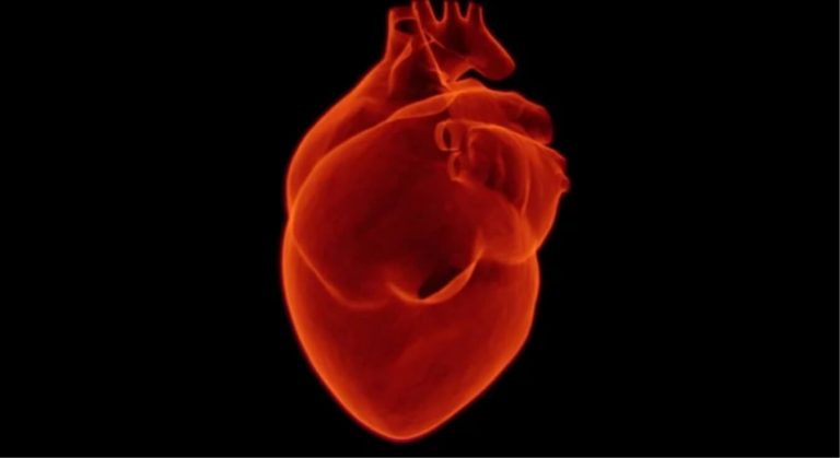 Dieta a basso contenuto di carboidrati: secondo una ricerca fa bene al cuore Dieta a basso contenuto di carboidrati: secondo una ricerca fa bene al cuore