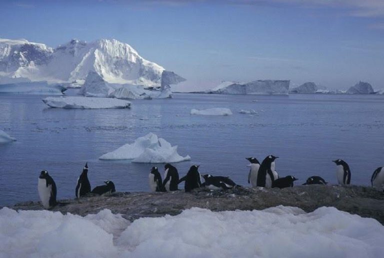 METEO – Ottima ripresa del GHIACCIO ARTICO come non accadeva da quasi 10 anni, tutto merito del VORTICE POLARE?