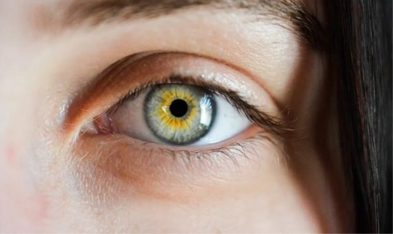 Maculopatia, il Dottor Bolognesi spiega quali sono i sintomi che non vanno sottovalutati e come si diagnostica Maculopatia, il Dottor Bolognesi spiega quali sono i sintomi che non vanno sottovalutati e come si diagnostica