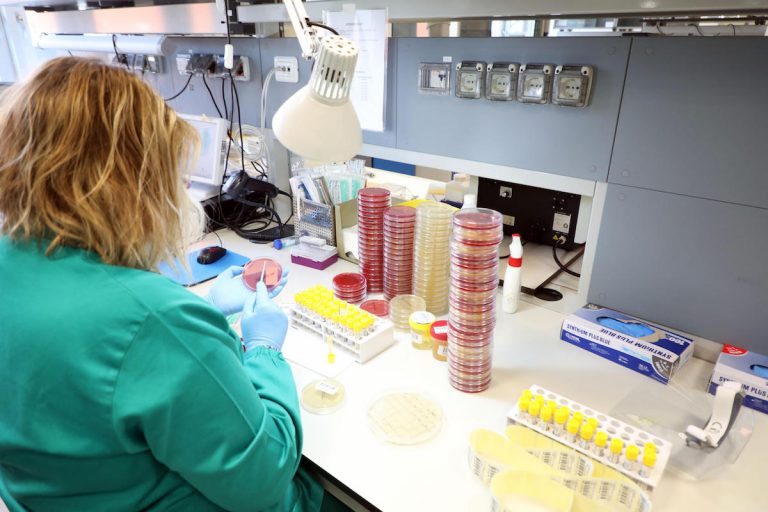 Coronavirus, testato il nuovo vaccino contro le varianti: sarà in formato spray nasale Coronavirus, testato il nuovo vaccino contro le varianti: sarà in formato spray nasale