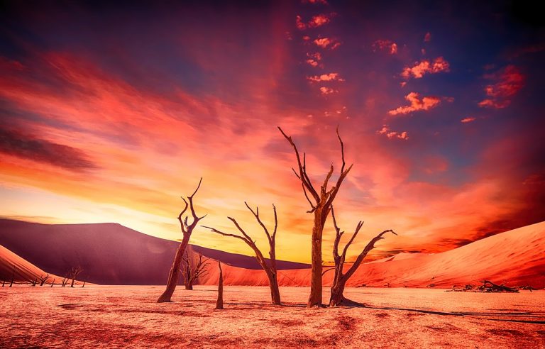 METEO AGOSTO: sarà il mese più CALDO della stagione in ITALIA, ecco l’aggiornamento METEO AGOSTO: sarà il mese più CALDO della stagione in ITALIA, ecco l’aggiornamento