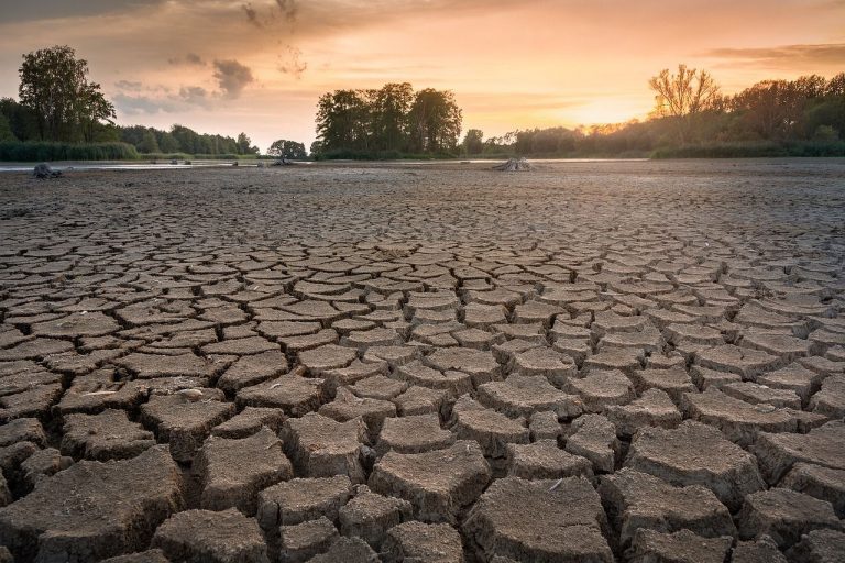 Meteo – Siccità improvvise sempre più frequenti, lo rivela uno studio; i dettagli Meteo – Siccità improvvise sempre più frequenti, lo rivela uno studio; i dettagli