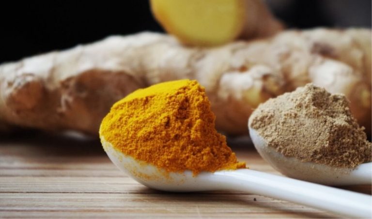 Curcumina, le proprietà terapeutiche di questa sostanza estratta dalla curcuma: gli effetti benefici e le indicazioni