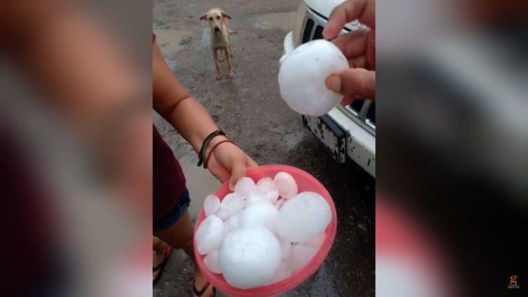 METEO – GRANDINE come PALLE DA BASEBALL si abbattono INFLIGGENDO DISAGI e DANNI INGENTI, VIDEO di quanto successo in Messico