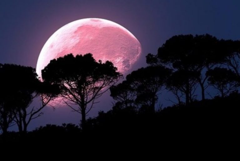 Arriva l’eclissi di “Luna di fragole”: ecco quando osservare il nostro satellite diventare rosa