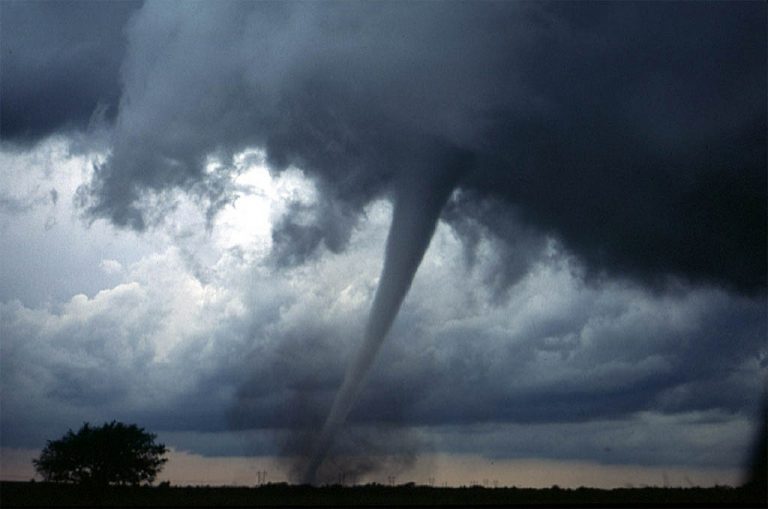 Piemonte, tornado scoperchia tetti e abbatte alberi: i danni in tutta la regione (VIDEO)