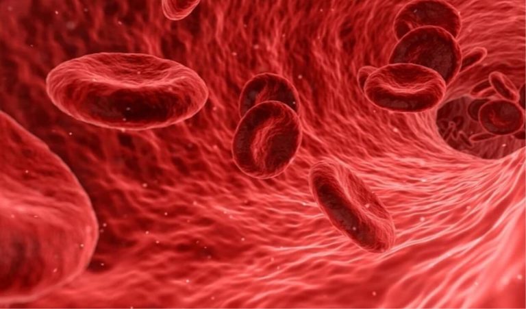 Talassemia, in Italia coinvolge migliaia di persone: la Professoressa Ferrari spiega quali sono i  sintomi