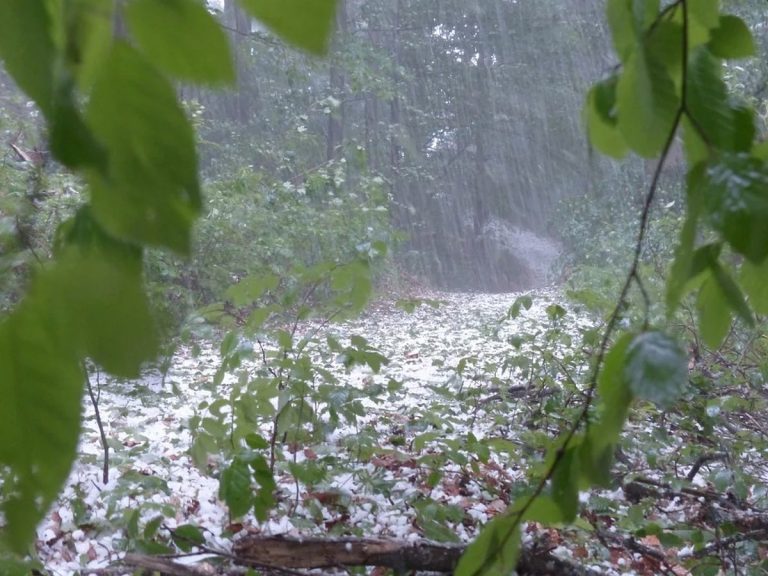 METEO – Violenta grandinata colpisce Venezia: accumuli al suolo e calli della città imbiancate METEO – Violenta grandinata colpisce Venezia: accumuli al suolo e calli della città imbiancate