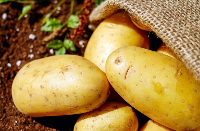 Mangiare patate ogni giorno? Ecco cosa potrebbe succedere al nostro organismo