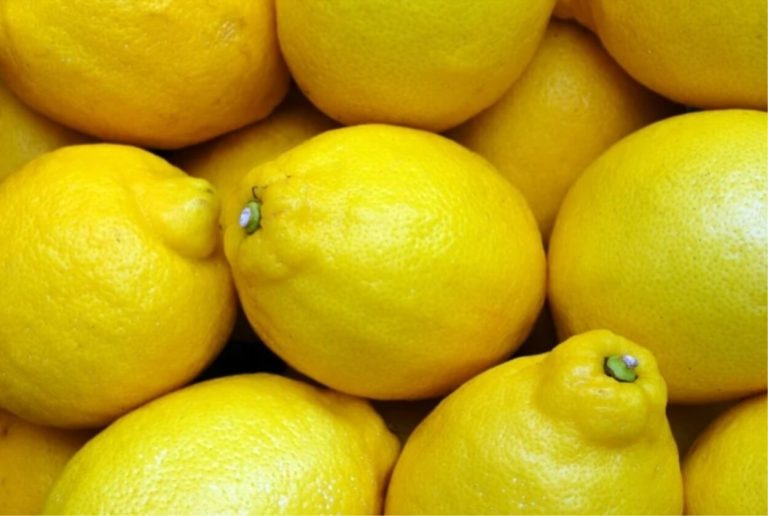 Mangiare limoni può far male alla salute? Ecco la verità