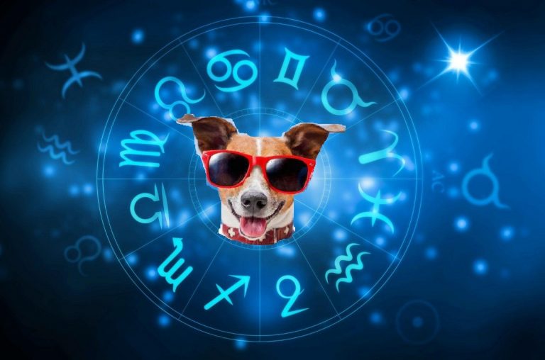 Segni zodiacali, scopri la razza di cane che si abbina ...