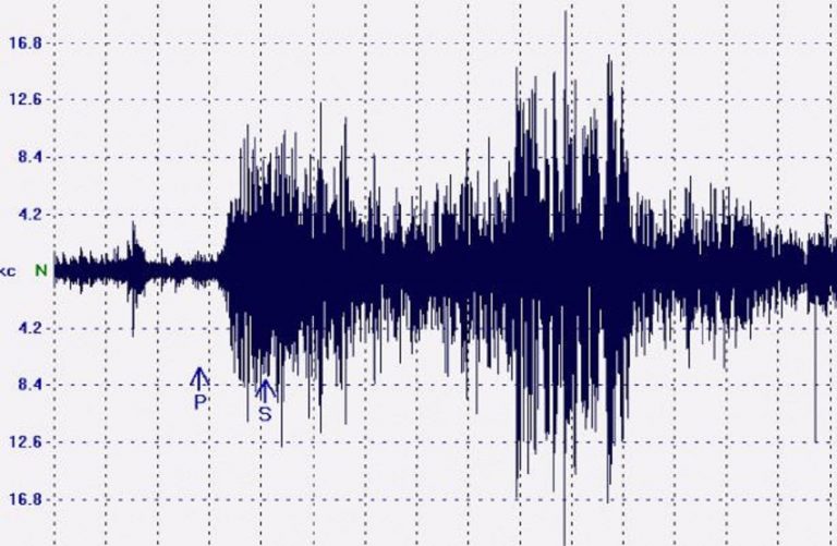 Previsione terremoti, allo studio un sistema di allarme rapido basato sul comportamento degli animali Previsione terremoti, allo studio un sistema di allarme rapido basato sul comportamento degli animali