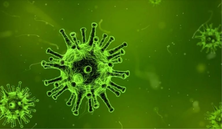 Influenza 2020-21, come si manifesta, sintomi e caratteristiche del virus Influenza 2020-21, come si manifesta, sintomi e caratteristiche del virus