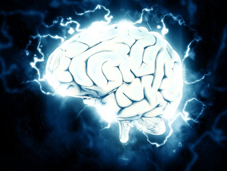 Dieta Superbrain per il cervello: ecco cosa mangiare per migliorare la concentrazione in tre settimane Dieta Superbrain per il cervello: ecco cosa mangiare per migliorare la concentrazione in tre settimane