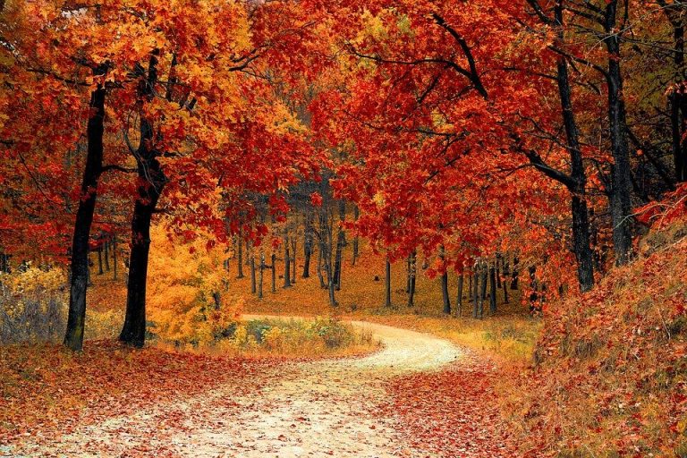 Equinozio d’Autunno 2020, data e orario: le cose da sapere sul cambio di stagione Equinozio d’Autunno 2020, data e orario: le cose da sapere sul cambio di stagione