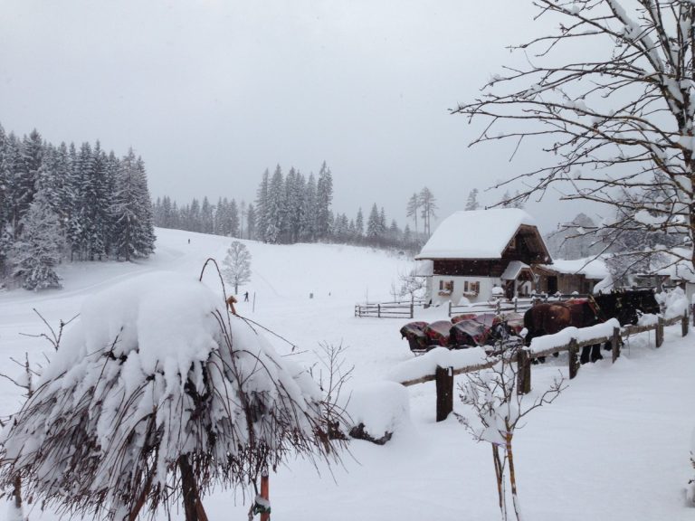 Meteo – Torna la neve sulle Alpi ad inizio settimana, localmente sino a quote collinari