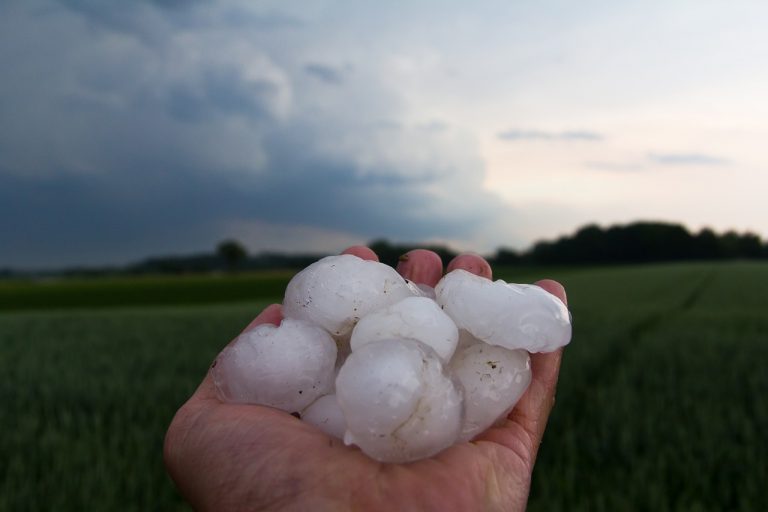 METEO – Violento TEMPORALE con GRANDINE e forti venti hanno interessato ieri Padova, il video