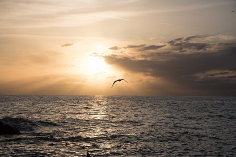 METEO GENOVA – BEL TEMPO nei prossimi giorni con l’ANTICILCONE ad oltranza, tendenza per il mese di NOVEMBRE METEO GENOVA – BEL TEMPO nei prossimi giorni con l’ANTICILCONE ad oltranza, tendenza per il mese di NOVEMBRE