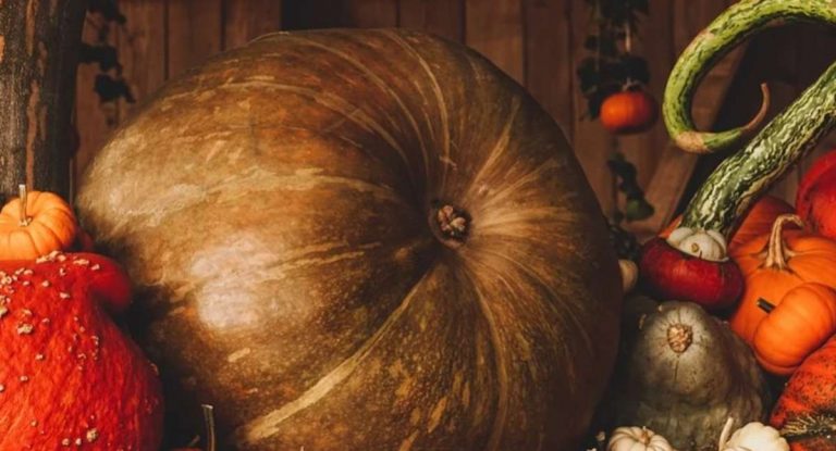 Halloween 2020, sarà una festa diversa dal solito: ecco cosa si può fare e le multe previste Halloween 2020, sarà una festa diversa dal solito: ecco cosa si può fare e le multe previste