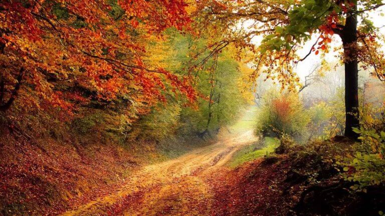 Meteo Autunno – Stagione altalenante con piogge concentrate tra Ottobre e Novembre. Ecco la proiezione