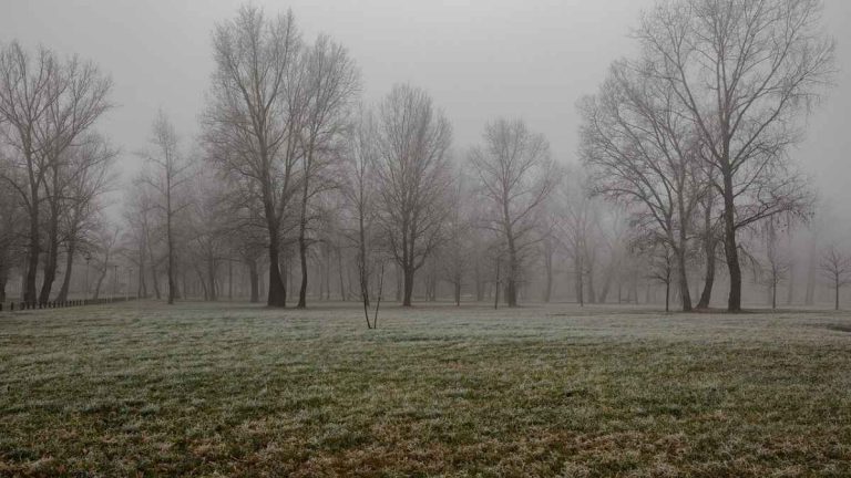 METEO – NEBBIA in PIANURA PADANA e FREDDO persistente anche di giorno, ecco perché e fino a quando