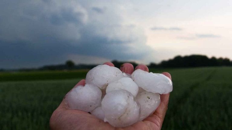 METEO – Violenta GRANDINATA colpisce Mhangura, in Africa e lascia una scia di DISTRUZIONE, i dettagli METEO – Violenta GRANDINATA colpisce Mhangura, in Africa e lascia una scia di DISTRUZIONE, i dettagli