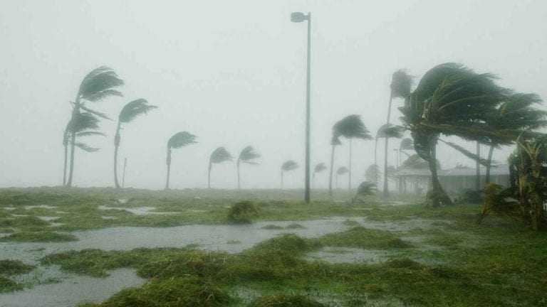 METEO – MALTEMPO con VENTI fino a 130km/h: PANICO all’aeroporto di Palermo per una parete CROLLATA: i dettagli