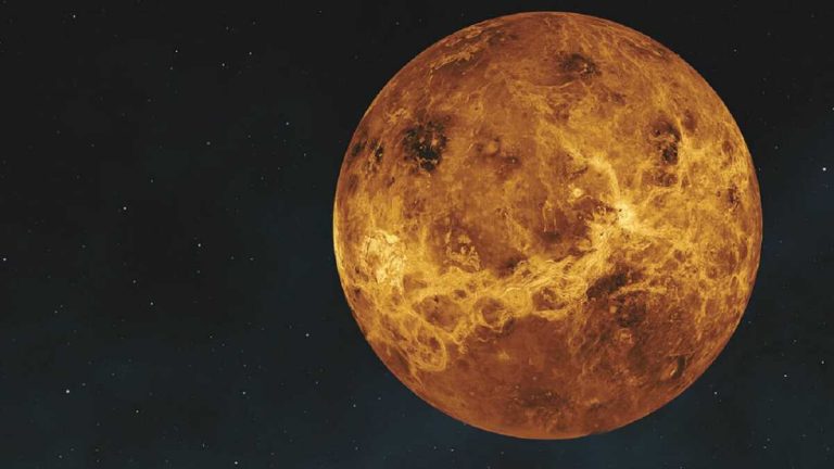 La stazione spaziale Solar Orbiter ha effettuato il primo sorvolo su Venere