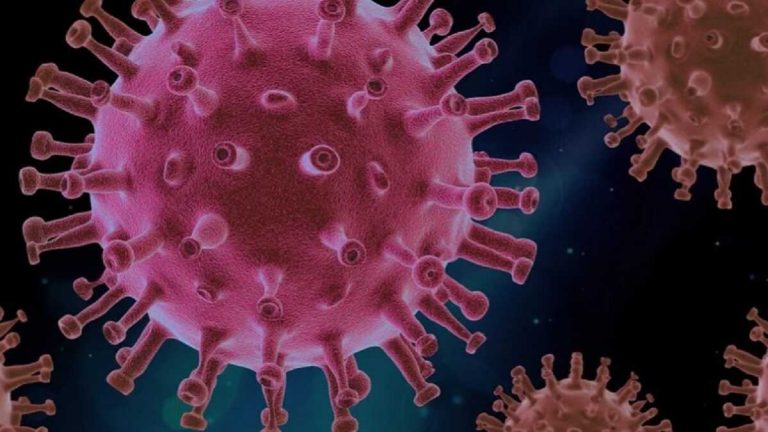 Coronavirus, scoperta una rarissima variante a Varese: ecco i dettagli